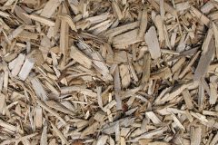 biomass boilers Swanbister